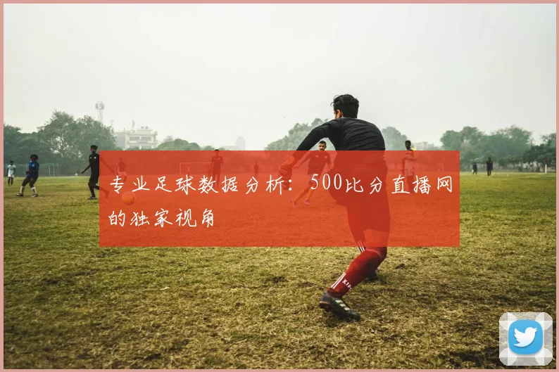 专业足球数据分析：500比分直播网的独家视角