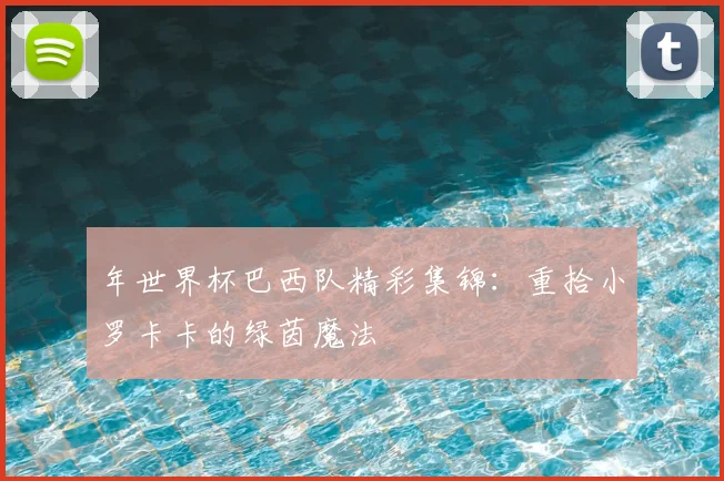 年世界杯巴西队精彩集锦：重拾小罗卡卡的绿茵魔法
