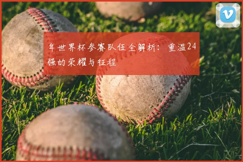 年世界杯参赛队伍全解析：重温24强的荣耀与征程