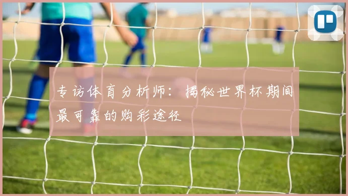 专访体育分析师：揭秘世界杯期间最可靠的购彩途径