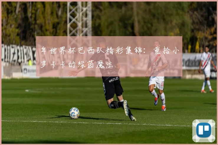 年世界杯巴西队精彩集锦：重拾小罗卡卡的绿茵魔法