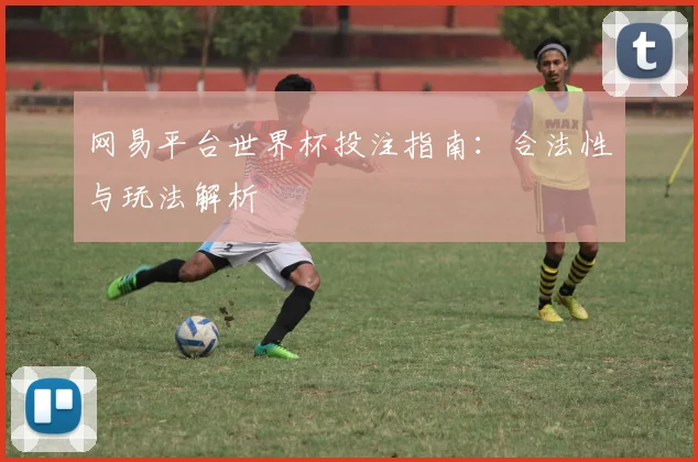 网易平台世界杯投注指南：合法性与玩法解析