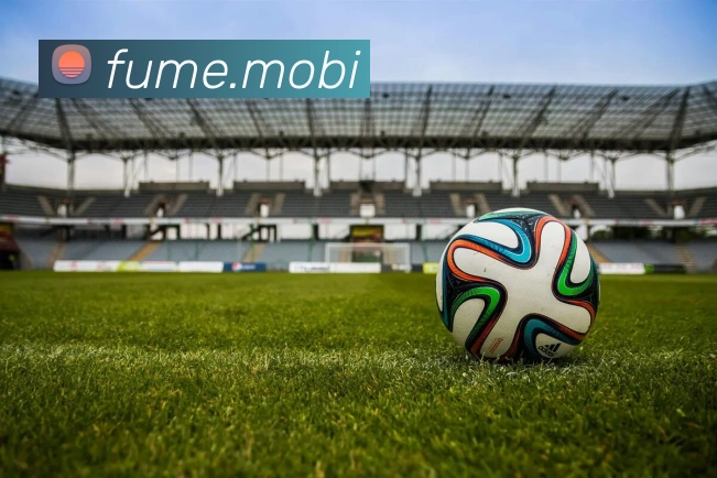 在线体育官网app平台生态图