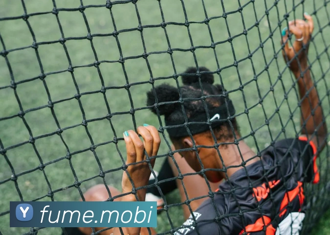 在线体育官网appAPP 封面图